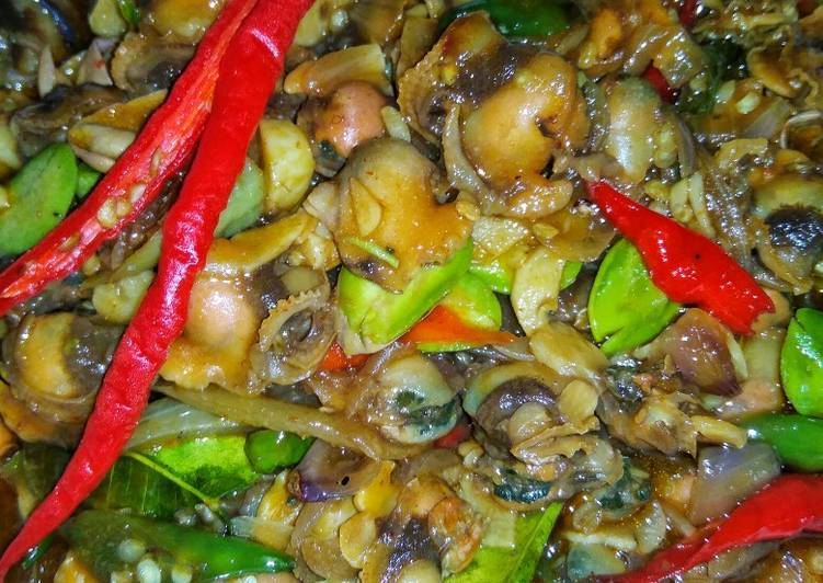 Resep: Kerang dara tumis pedas Bunda Pasti Bisa