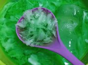 Gambar es kopyor nutrijel