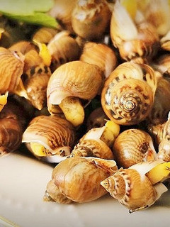 Una foto de Caracolillos de Mar