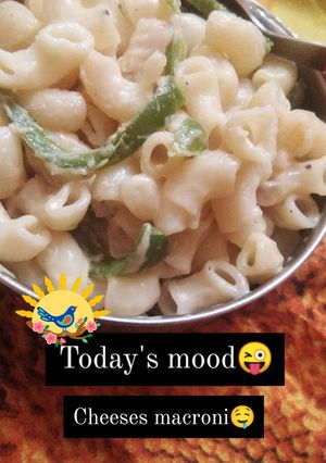 A picture of White sauce macaroni.