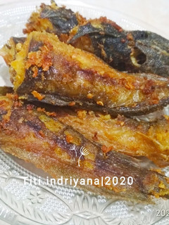 Foto resep Ikan lele goreng