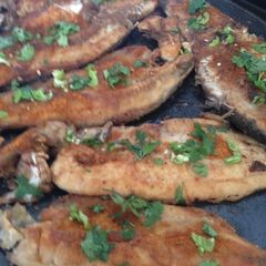 Fish fry A picture of Fish fry.