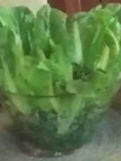 صورة لوصفة تبوله