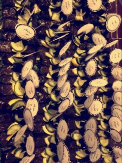 صورة لوصفة ورق عنب 😋