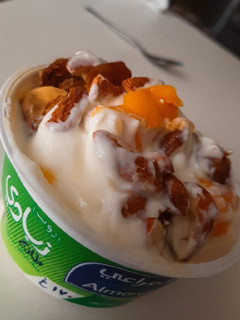 A picture of Yogofruit.