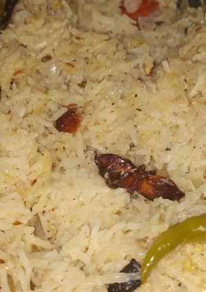 தேங்காய் புலாவ் (Tankaai pulao recipe in tamil) செய்முறை முக்கிய புகைப்படம்