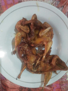 Foto resep Burung dara goreng
