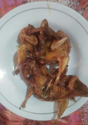 Foto resep Burung dara goreng
