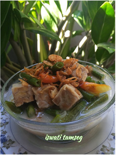 Foto resep Lodeh tempe semangit kacang panjang