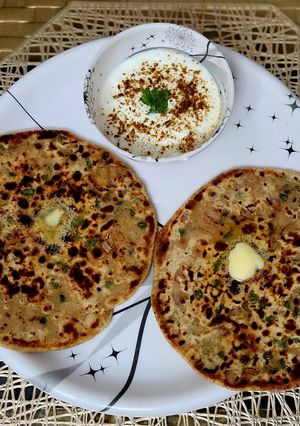 A picture of Capsicum Papad Paratha.