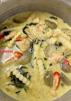 A picture of Thai Green Curry with Chicken.