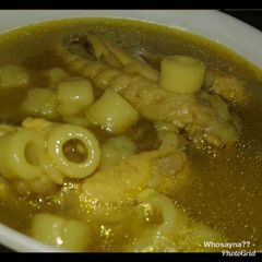 A picture of Whosayna’s Alni Palni.