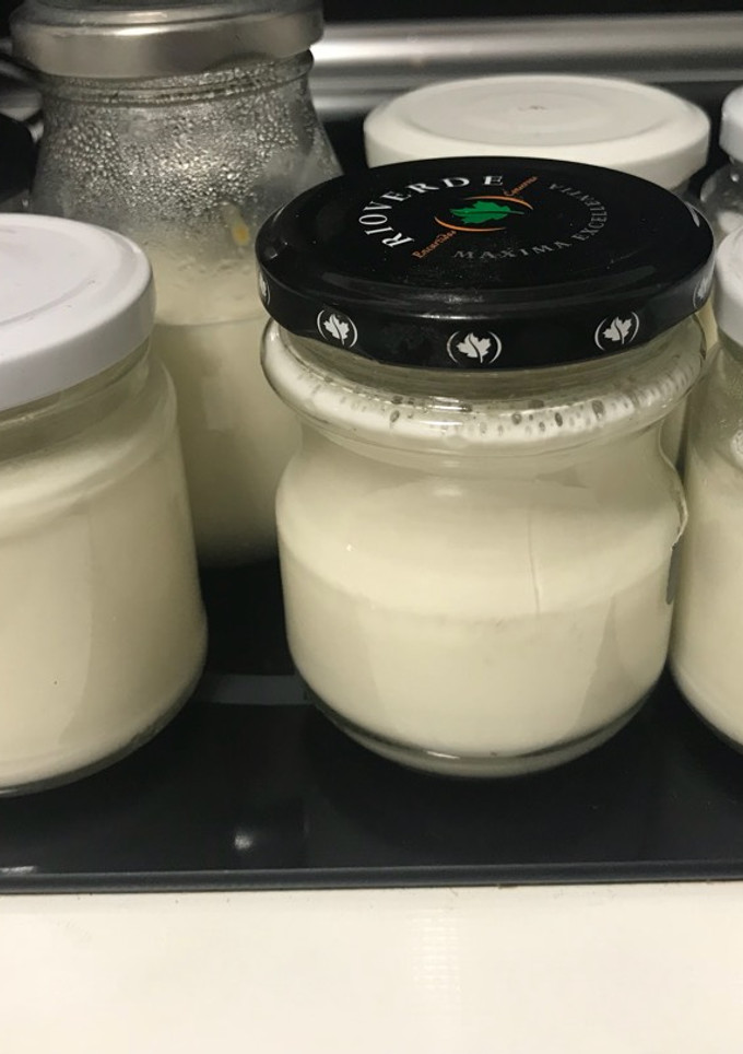 Una foto de Yogur natural Monsieur Cuisine