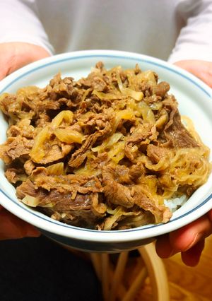 A picture of Gyudon (beef bowl).