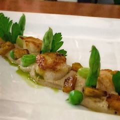 Caramelised scallops and a caramelised shallot puree with spring green A picture of Caramelised scallops and a caramelised shallot puree with spring green.