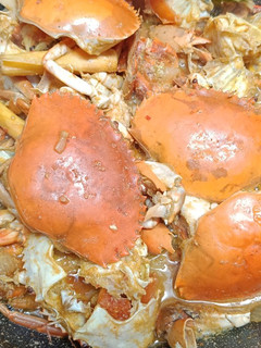 Foto resep Kepiting saus padang tidak pedas