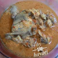 A picture of Pindang kuning ranjau.