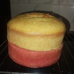A picture of Oil based cake.
