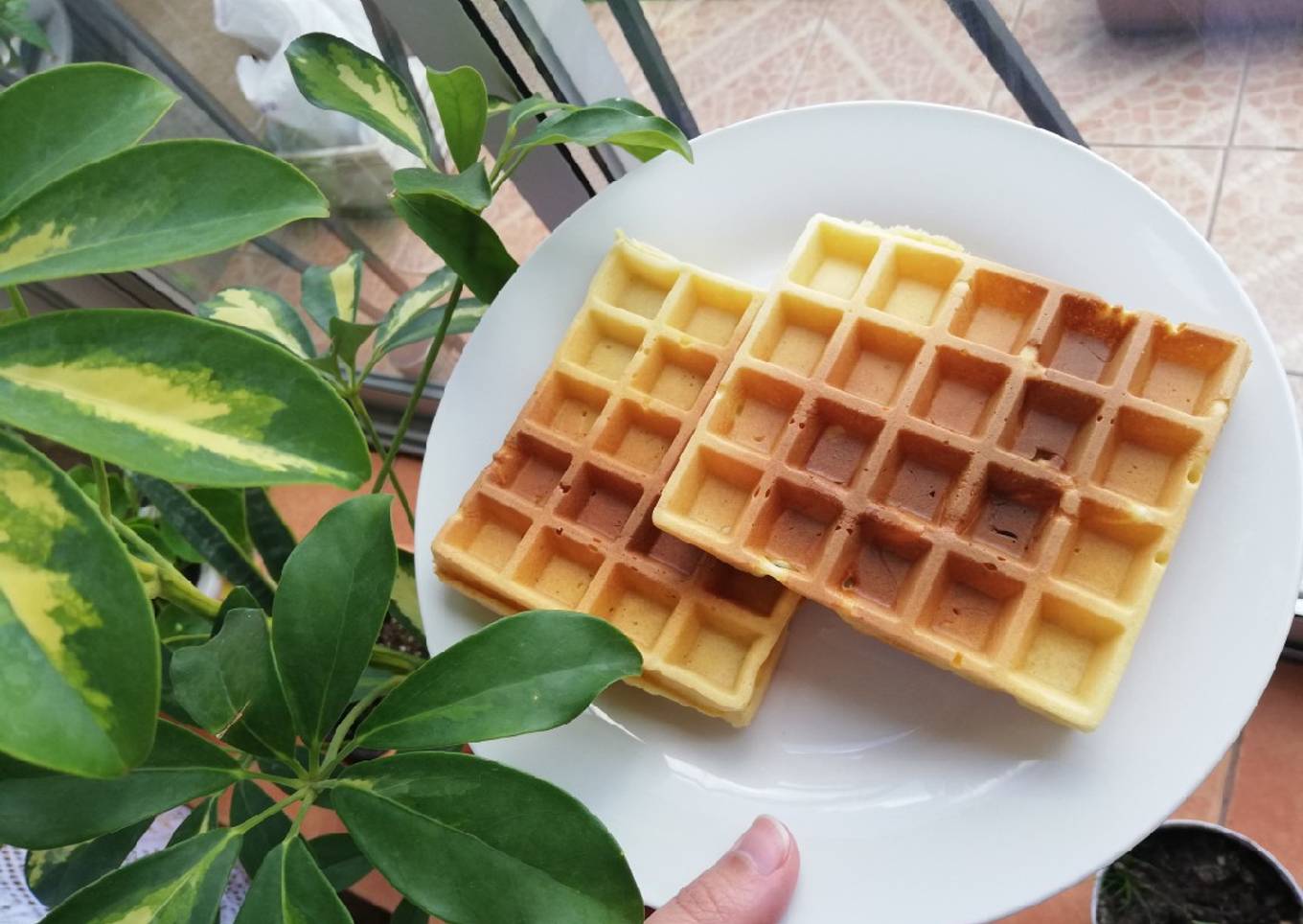 Waffles