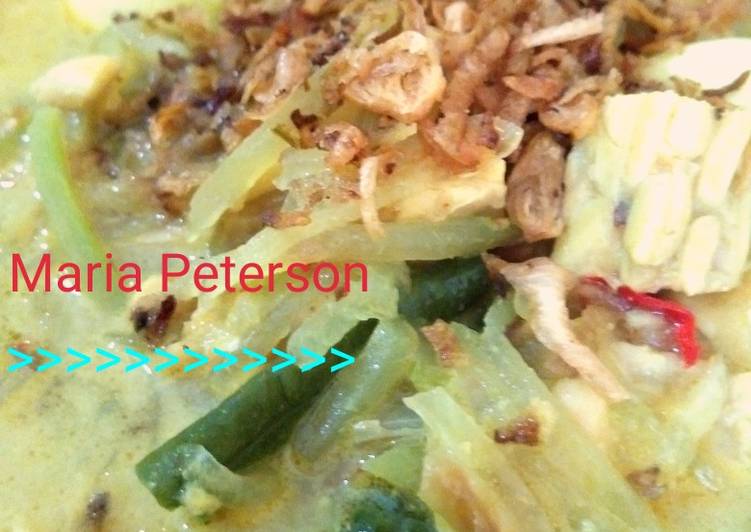 Sayur labu siam campur