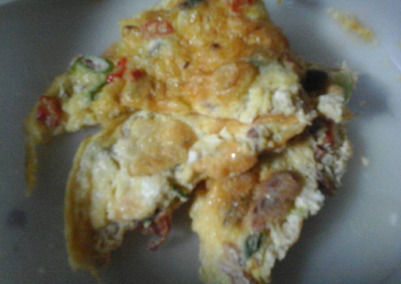 Dadar telur special