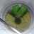 Bolu pandan