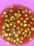 39. Acar cabe