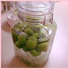 A picture of Umeshu (Japanese Plum Wine).