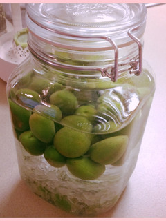 A picture of Umeshu (Japanese Plum Wine).
