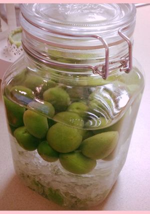A picture of Umeshu (Japanese Plum Wine).