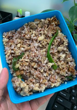 Foto resep Nasi merah tutug tempe