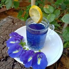 A picture of Butterfly pea flower tea.