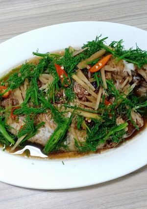 Hình của món Cá điêu hồng hấp tương tàu xì.