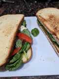 Caprese sandwich with pesto