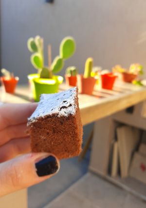 Una foto de Brownie