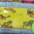 Opor ayam dadakan 😊