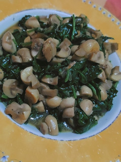 صورة لوصفة فطر وسبانخ 🌿