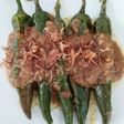 Ase Cabe /besengek /tumis cabe ijo