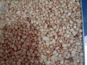Gambar kacang tanah oven