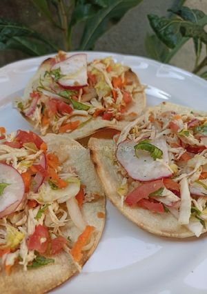 A picture of Chicken Salpicón.