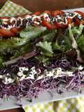Ensalada de lechuga con brotes de rábanos y semillas