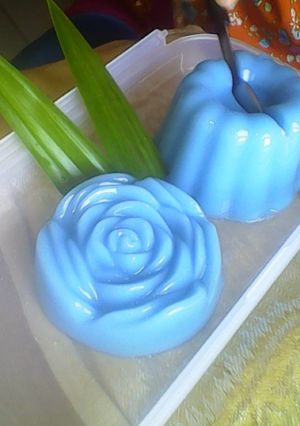 Foto resep Puding kopyor
