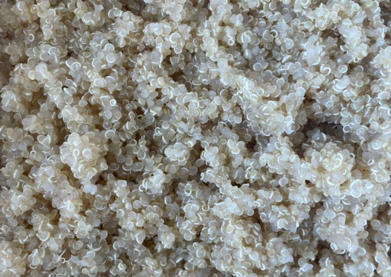 Quinoa solita