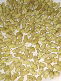 عکسی از دستور توت خشک خونگی(دستچین خودم)