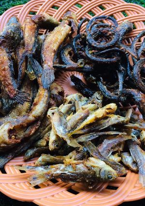 Foto resep Unjar, gabus unyil, belut goreng