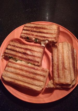 A picture of Veg mayo sandwich.