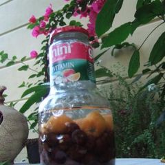 A picture of Liqueur with loquats (whole).