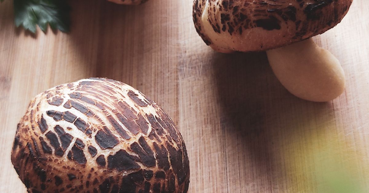 Resep Mushroom Shaped Bread (Roti Bentuk Jamur Dengan Isian Jamur ...