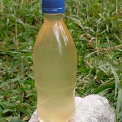 Minyak kelapa রেসিপির প্রধান ছবি