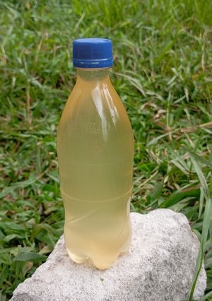 Foto resep Minyak kelapa